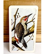 Vintage Songbird Trading Card Red Shaft Flicker 1962 S9N3 Brooke Bond Te... - $15.99