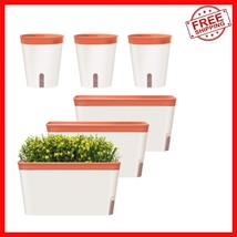 Elegant Clay Self-Watering Window Box Planters, Set of 6 for Indoor Gard... - $910.53 MXN