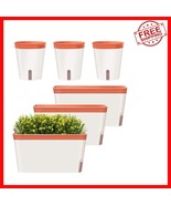 Elegant Clay Self-Watering Window Box Planters, Set of 6 for Indoor Gard... - $67.48 CAD