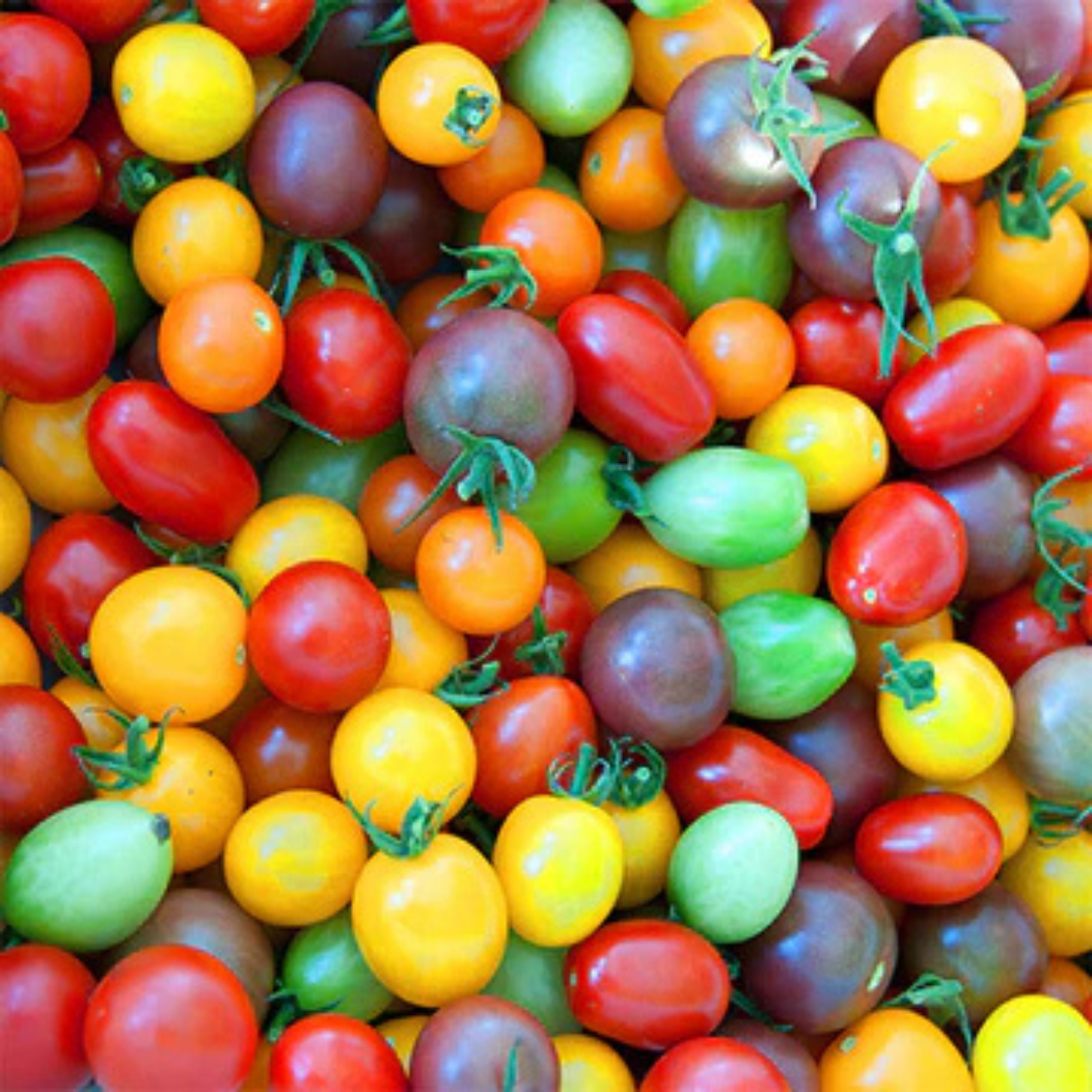 Mixed 10 Varieties of Colorful Cherry Tomato - 100 Seeds Item image 2