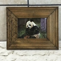 Panda Bear Eats Bamboo Leaves Wildlife Nature Art Print In Vintage Wooden Frame - £11.68 GBP
