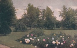 Minneapolis Minnesota MN Minnehaha Park 1908 Postcard D32 - £2.35 GBP