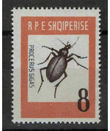 Albania 662 MNH Procerus Gigas Beetle, Insects ZAYIX 1223S0244M - $5.65