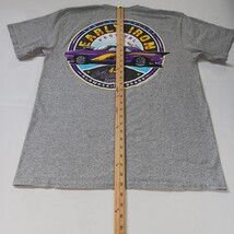 Port & Company San Louis Valley Festival Mens Gray Cotton Graphic T-Shirt Size L image 6