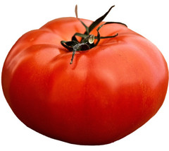 150+ Seeds Tomato All-American Giant Beefsteak Massive Fruits Heirloom Vegetable - £7.22 GBP