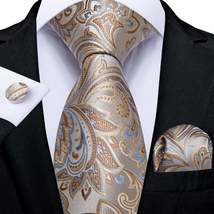 Fashion Paisley Tie Set - £14.22 GBP