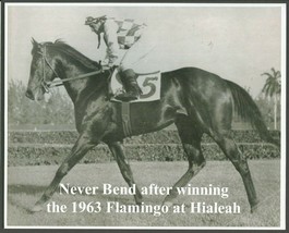 1963 - NEVER BEND after winning the Flamingo at Hialeah - 10&quot; x 8&quot; - £15.71 GBP