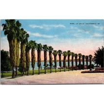 Vintage Linen Postcard, Park La Jolla California San Diego Palm Trees, H... - £11.60 GBP