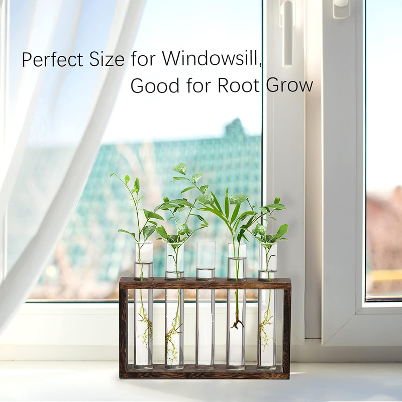 XXXFLOWER Plant Terrarium Wooden Stand with 5 Test Tubes,Glass Planters for Indo Item image 3