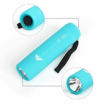 Ozark Trail Single Mini Handheld LED Flashlight 50 Lumens Assorted  Color - €7,68 EUR