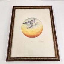 David Silverberg Color Etching Tern Bird Flying Sunset Signed Ltd Ed. Framed - $58.04