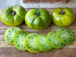 50+ Seeds Tasty Evergreen Tomato Tomatoe Vegetable Garden Edible Canning... - £6.89 GBP