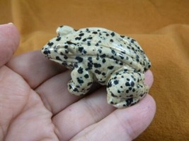 (Y-FRO-712) little spotted Jasper FROG frogs gem stone gemstone CARVING figurine - £14.08 GBP