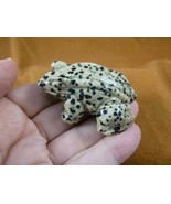 (Y-FRO-712) little spotted Jasper FROG frogs gem stone gemstone CARVING ... - $17.53