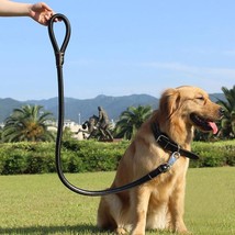 2-in-1 Rolled Leather Dog Collar &amp; Leash - £20.45 GBP