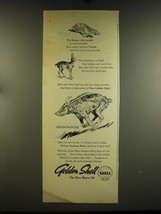 1937 Shell Golden Shell Motor Oil Ad - The Badger, dear people is not overrated - £14.53 GBP