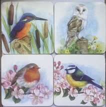 Pack of 4 Bird Coasters Robin Blue Tit Kingfisher Owl - $8.62