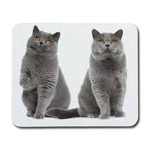 British Shorthair Cats Mouse Pad - £15.34 GBP