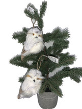 2021 Wondershop Ornaments Lot Of 2 Owls NEW - $21.25