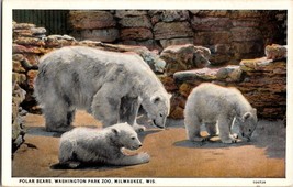 Polar Bears Washington Park Zoo Milwaukee Wisconsin Vintage Postcard (C2) - £5.13 GBP