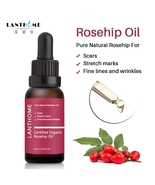 Rosehip oil Scar Repair Skin Essential Oil, Moisturizing Essence Rosehip... - £8.00 GBP