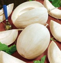 10 Sakatas Sweet Melon Seeds Sweet Tasty Fresh Seeds - $15.90