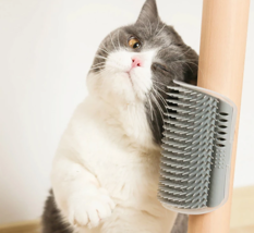 Pet Comb Removable Cat Corner Scratching Rubbing Brush Pet Hair Removal Massage  - £4.76 GBP