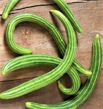 Dark Armenian Cucumber Seeds 50 Seeds Non-Gmo Fast Shipping - £6.28 GBP