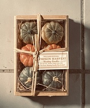 Williams Sonoma Pumpkin Harvest Six Pumpkin Floating Candles In Craye Tags - £14.23 GBP