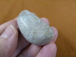 DF485-10 Fossil REAL DINOSAUR Bone pebble Atlasaurus Jurassic Dino dinos... - $8.99