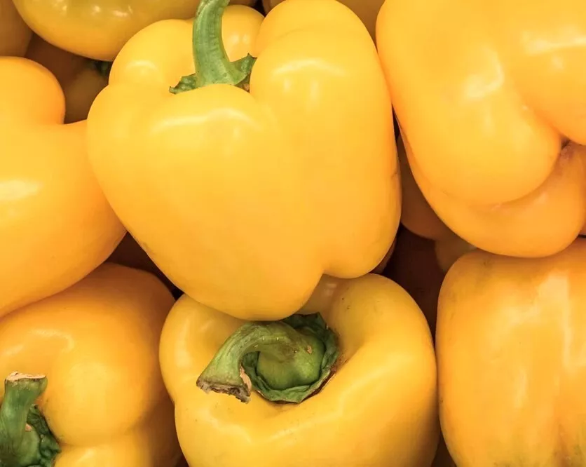 Canary Yellow Bell Pepper Seeds Sweet Organic - $3.97