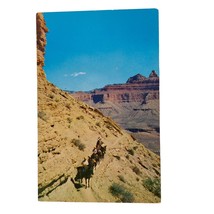 Postcard Mule Train On Kaibab Trail Grand Canyon Arizona Chrome Unposted - £5.41 GBP