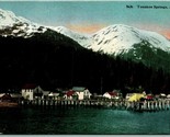 View From Water Tenakee Springs Alaska AK UNP Unused DB Postcard I12 - $14.42