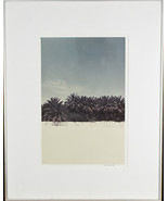 Senza Titolo (Palma Alberi) Firmato Fotografia Da Chet D&#39;Autremont con C... - $165.28