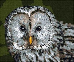 Pepita Needlepoint kit: Ural Owl, 12&quot; x 10&quot; - $86.00+