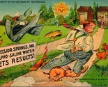 Vtg Linen Postcard Comic Humor Outhouse Excelsior Springs Missouri Outho... - $3.91