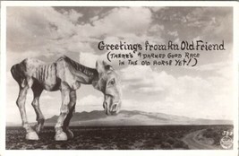 Greetings from Old Friend Darned Good Race in The Old Horse Frasher Postcard U5 - £5.46 GBP
