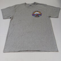 Port & Company San Louis Valley Festival Mens Gray Cotton Graphic T-Shirt Size L image 9
