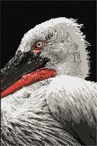 Pepita Needlepoint kit: Pelican Up Close, 10&quot; x 15&quot; - $114.00+