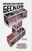 Breeding and Keeping Geckos NEW Book Vivarium Leopard - £7.80 GBP