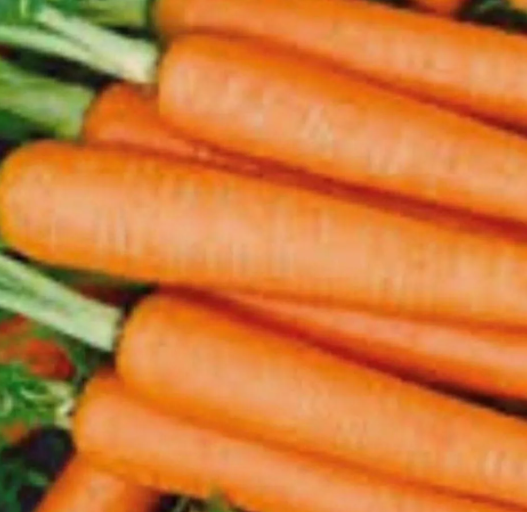 LD 10 Seeds Tendersweet Carrot Seeds  Non-Gmo Carrot Seeds Fast Shipping - $8.22