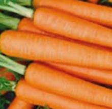 LD 10 Seeds Tendersweet Carrot Seeds  Non-Gmo Carrot Seeds Fast Shipping - $8.22