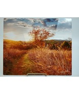 Larry Kanfer Photograph &quot;Carpe Diem&quot; Fall Landscape Infused Aluminum 10x12&quot; - €77,36 EUR