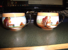 Lot of 8 Chikaramachi Japanese Country Scene Hand Painted Tea Cups - $44.53