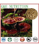 250 Natural Reishi Lucid ganoderma mushroom Caps to Strengthen Immune Sy... - $253.47 CAD