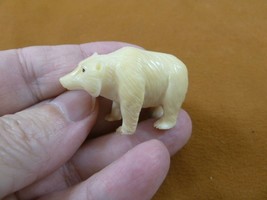 tb-bear-13) little white Polar Bear Tagua NUT palm figurine Bali carving bears - $46.98