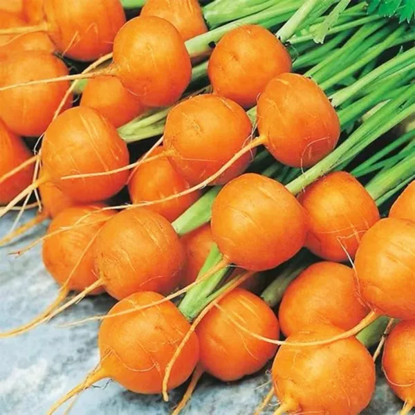 Round Parisian Carrot Seeds Heirloom &amp; Non Gmo Carrot Seeds 100+ Vegetable S Fre - £17.37 GBP
