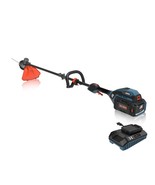 SENIX X6 60 Volt Max* Cordless Brushless Grass Trimmer and Edger Lawn To... - €879,25 EUR