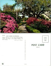 Louisiana Baton Rouge Capitol Gardens Early Springs Pink Flowers VTG Postcard - £7.49 GBP