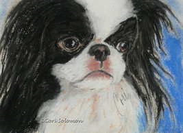Japanese Chin Dog Art Pastel Drawing Solomon Framed - £148.79 GBP